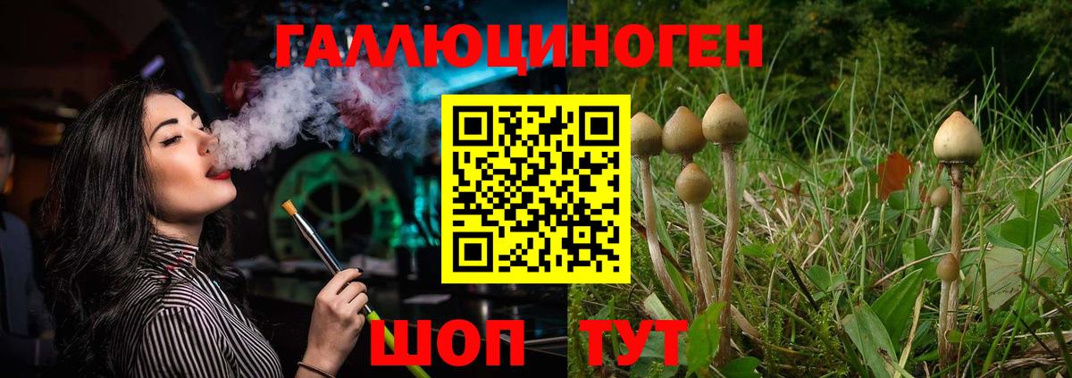 Галлюциногенные грибы Psilocybe  Великий Новгород 
