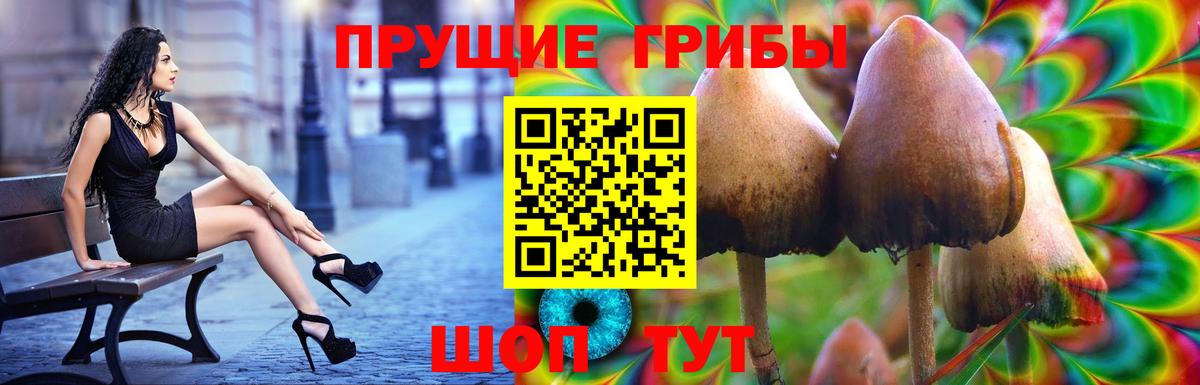 Псилоцибиновые грибы ЛСД Великий Новгород